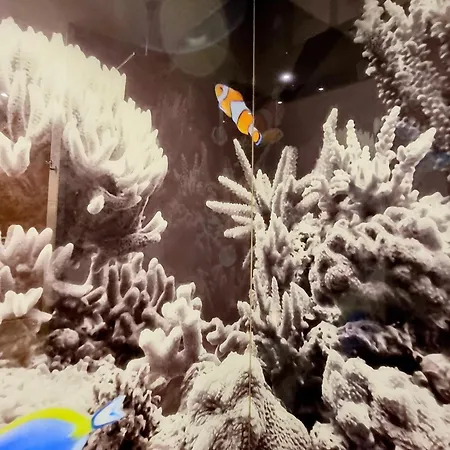 El Arrecife Apartman Conil de la Frontera