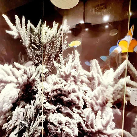 El Arrecife * Conil de la Frontera