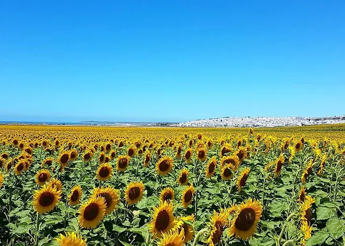 El Arrecife Διαμέρισμα