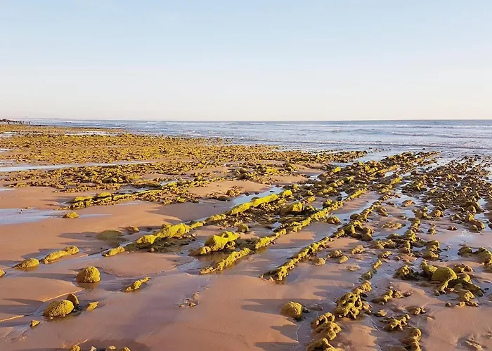 Διαμέρισμα El Arrecife Conil De La Frontera