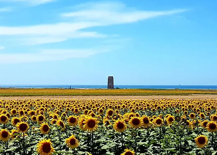 El Arrecife Διαμέρισμα *