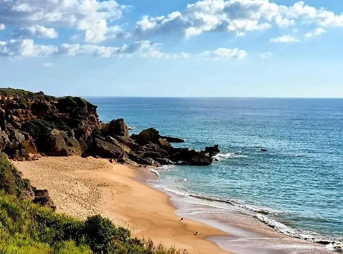 El Arrecife Conil De La Frontera