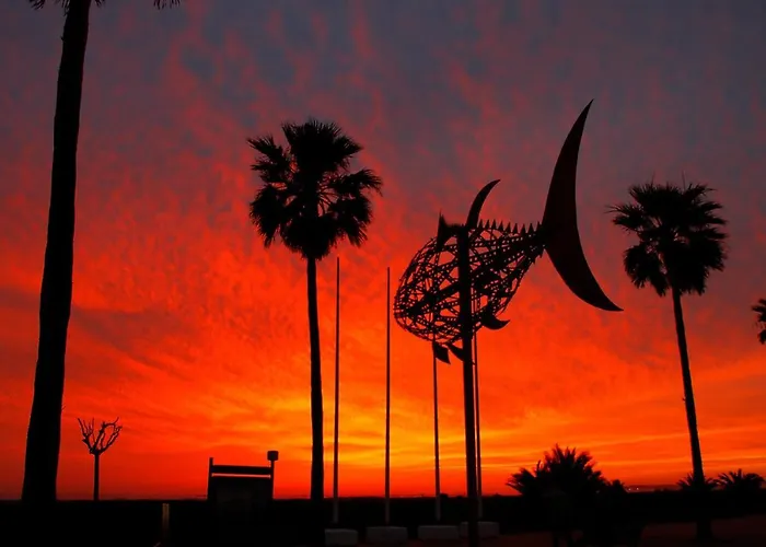 El Arrecife * Conil De La Frontera