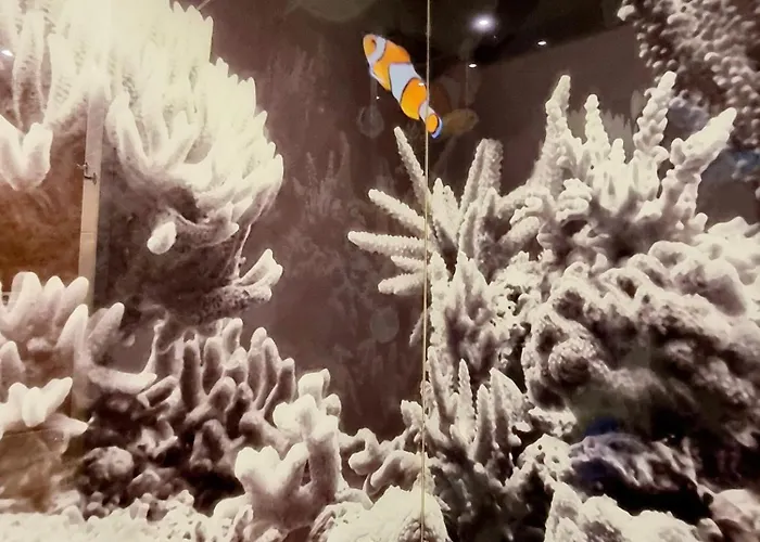 El Arrecife Διαμέρισμα Conil De La Frontera