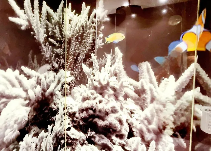 El Arrecife * Conil De La Frontera