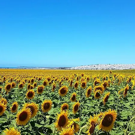 El Arrecife Апартаменти