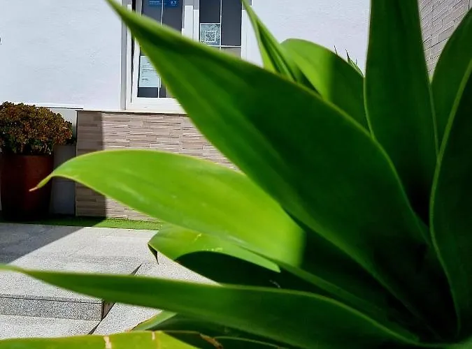 El Arrecife Apartamento Conil De La Frontera