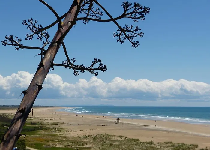 El Arrecife Apartamento Conil De La Frontera
